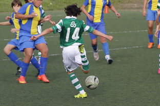 米兰电竞-中国足球高密度传控战术回合成功统计，中国足球高密度传控战术回合成功统计